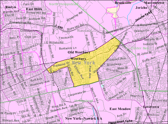 Westbury Tank Removal